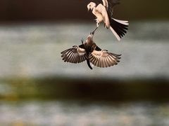 -德基艺术博物馆