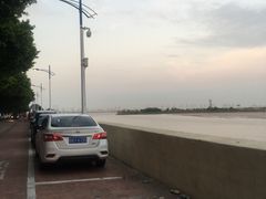 -大湾区中央湿地公园-十九涌