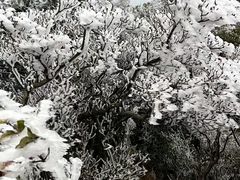 -梧桐山风景名胜区