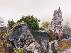 -千岛湖石林