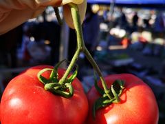 -锦绣大地生鲜食品厅