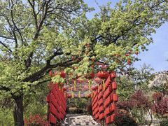 -崂山仰口游览区