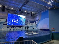 -福州罗源湾海洋世界旅游区