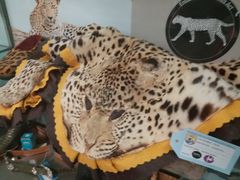 -纽瓦克自由国际机场