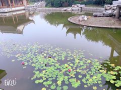 -南普公园