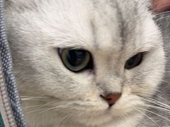 -佳雯宠物医院(四明中路分院)