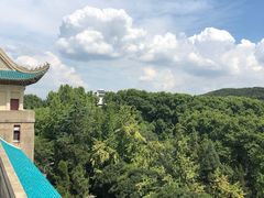 -武汉大学-樱园