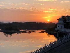 -千年银杏谷文化旅游区