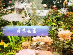 -深圳仙湖植物园