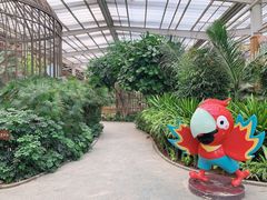 -南宫五洲植物乐园