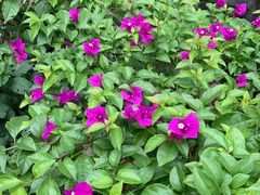 -柞水乾佑红门家菜