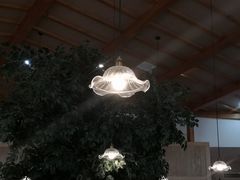 -青柠记忆泰式海鲜火锅(合生汇购物中心店)