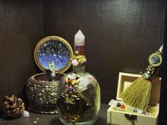-雪灵魔法世界SHELLY’S TAROT(大良桂畔里店)