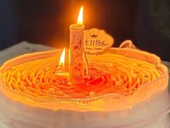-维尔纳斯·生日蛋糕·动物奶油冰淇淋蛋糕(六里桥店)