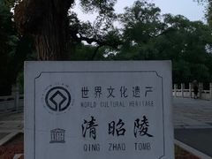 -北陵公园