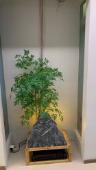 -侒悦缦月子中心·疗愈园区(龙岗店)