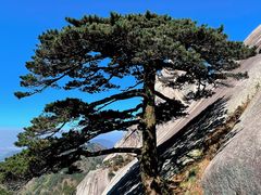 -天柱山风景区