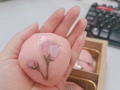 -云朵上的鱼(莘庄店)