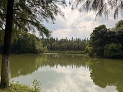 -艾溪湖湿地公园