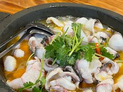 -大鼎石锅鱼(春江里店)
