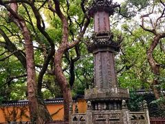 -普陀山风景名胜区-法雨禅寺