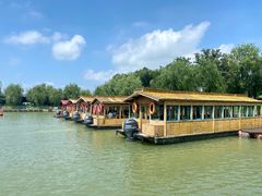 -泗洪洪泽湖湿地景区