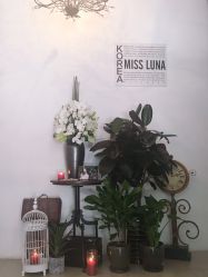 点击看大图 -韩国艺匠ARTIZ STUDIO(博览中心店)