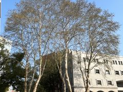 -湖北美术学院(昙华林校区)