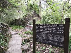 -蝶舞清江·恩施云顶景区(黄鹤峰林)