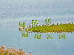 -华侨城湿地公园