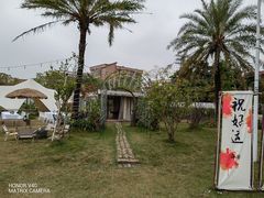 -陶缘一号·四季缘·老字号顺德菜·户外婚礼家宴(西滘店)