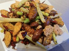 -白玉·朝鲜族烤串(深圳Kkone店)