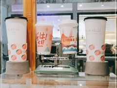 -伏小桃(明瓦廊店)