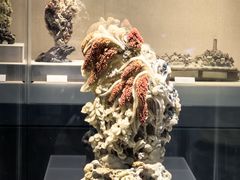 -浙江省博物馆(孤山馆区)