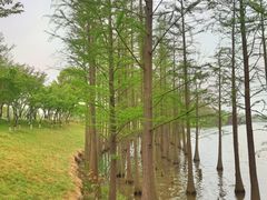 -苏州太湖国家湿地公园
