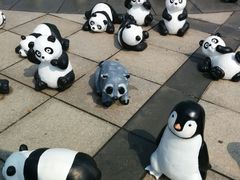 android_upload_pic-南戴河国际娱乐中心