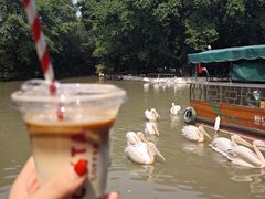 -广州长隆飞鸟乐园