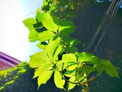-陈熹公民族美食文化餐厅(中华广场店)