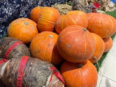 -老阿爸江浙土菜(奥体中心店)