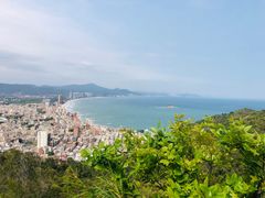 -广东惠东海龟国家级自然保护区
