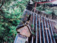 -塔云山