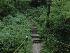 -青城山