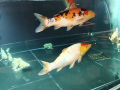 -北京海德酒店温泉