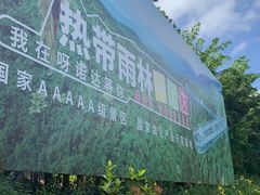 -呀诺达热带雨林