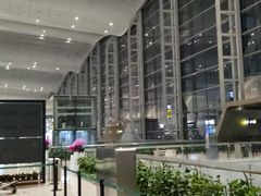 -广州白云国际机场-T2航站楼
