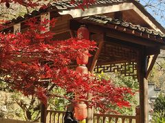 -塔川景区