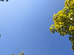 -厦门方特东方神画