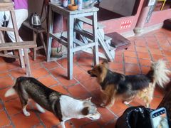 -东南悬空寺方广岩