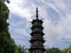 -上海佘山国家森林公园东门地面停车场