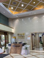 -碧莲盛·不剃发植发